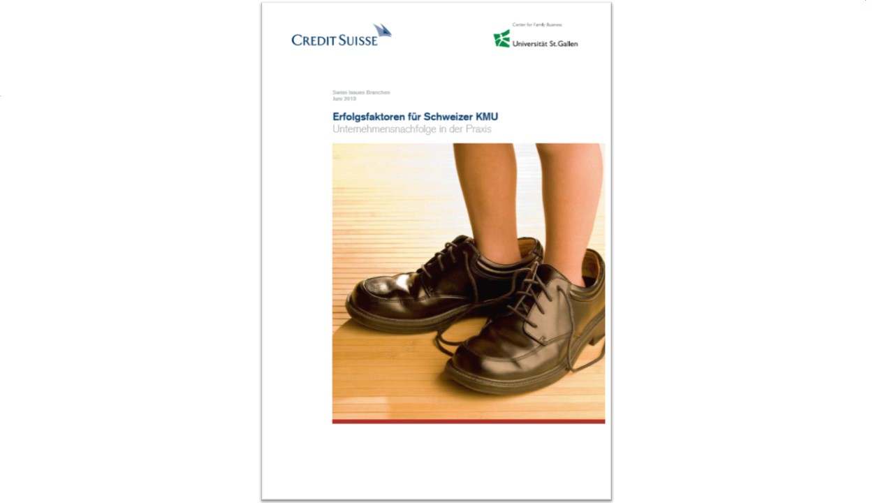 2013 CS Studie